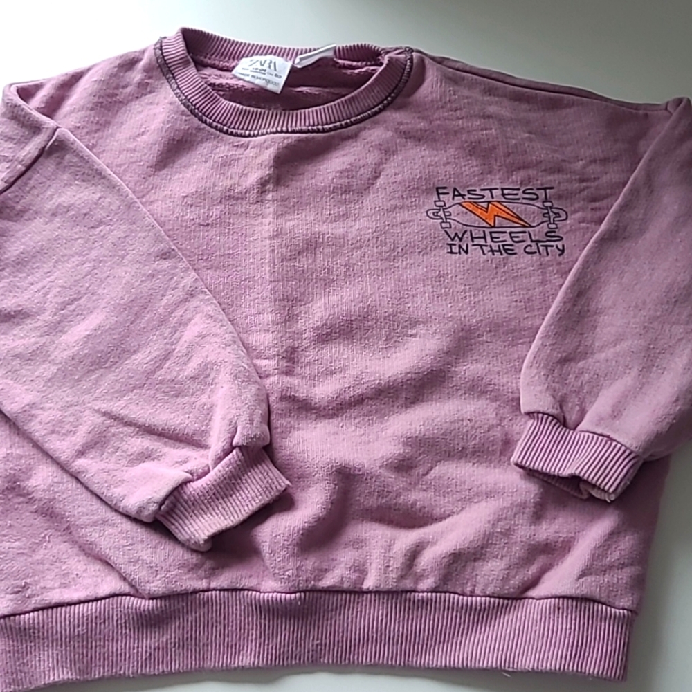 Fastest wheels in the city sweatshirt